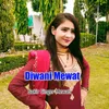 Diwani Mewat